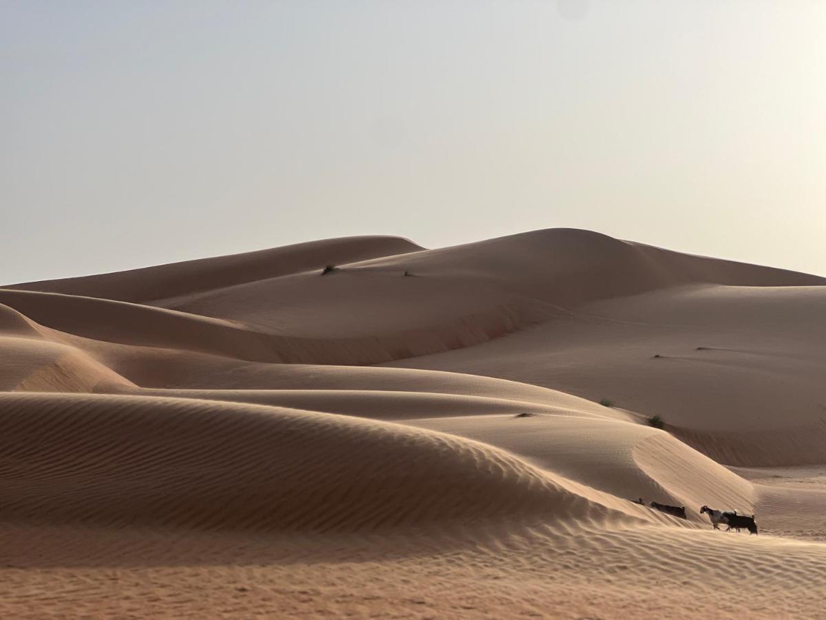 Thousand Stars Desert Camp Badīyah 外观 照片