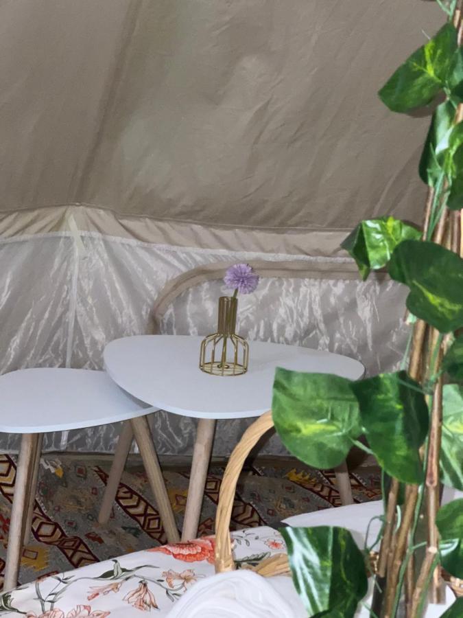 Thousand Stars Desert Camp Badīyah 外观 照片