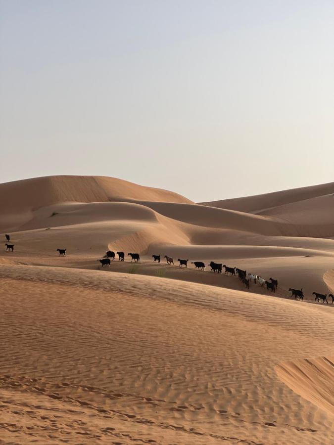 Thousand Stars Desert Camp Badīyah 外观 照片