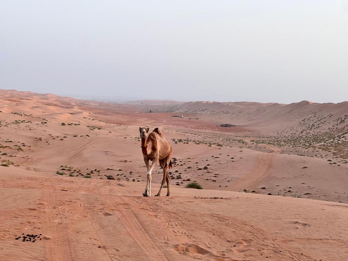 Thousand Stars Desert Camp Badīyah 外观 照片