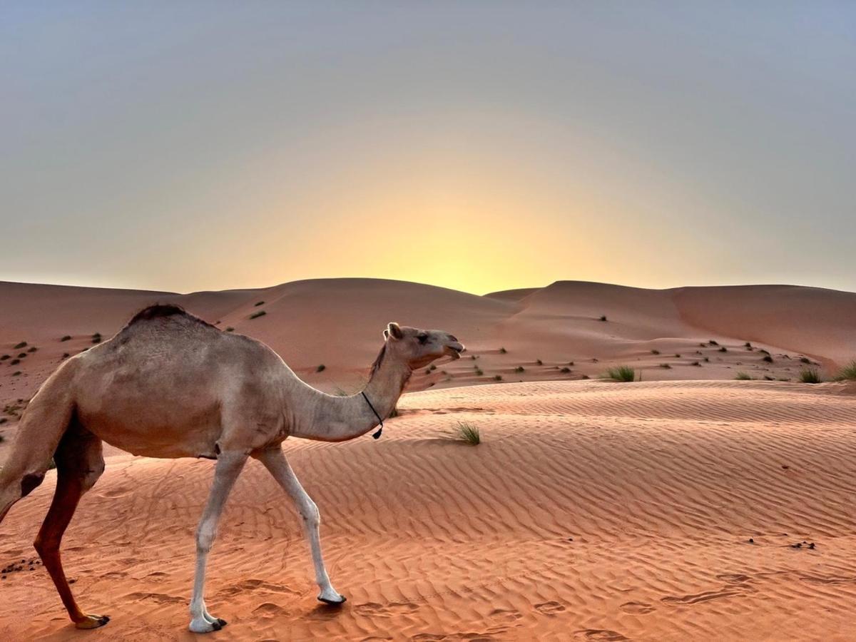 Thousand Stars Desert Camp Badīyah 外观 照片