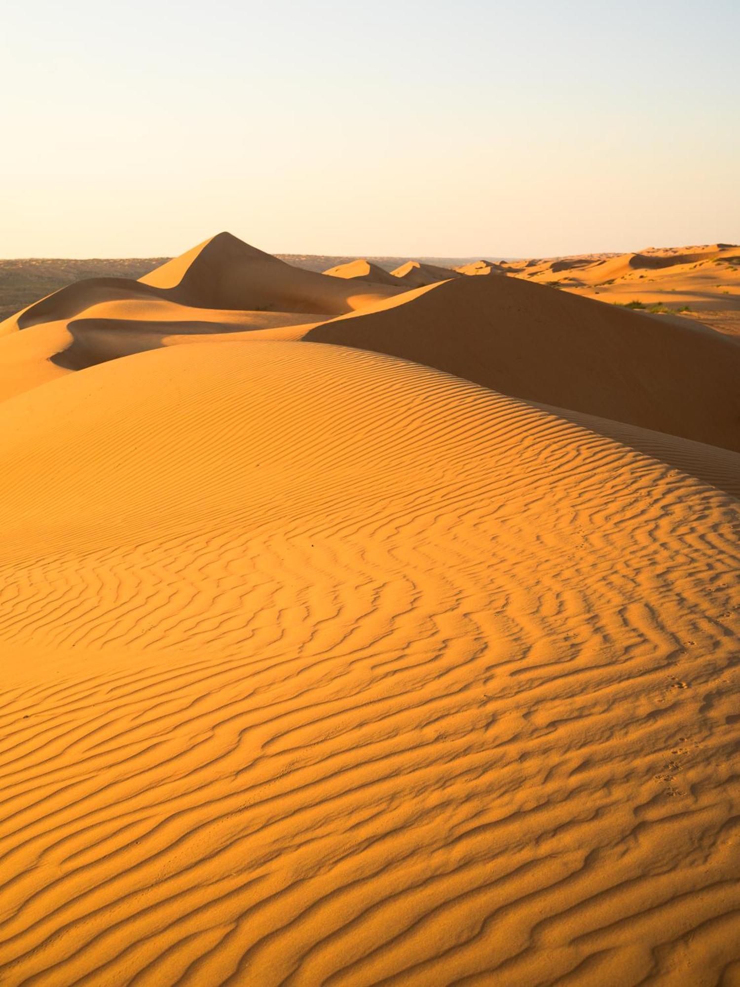 Thousand Stars Desert Camp Badīyah 外观 照片